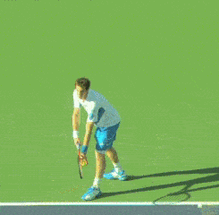 上步式.gif